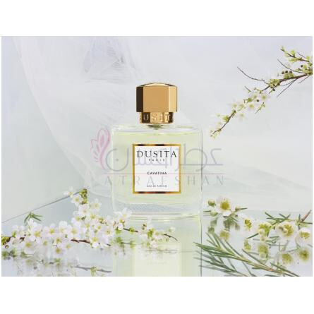 Cavatina-دوسیتا کاواتینا