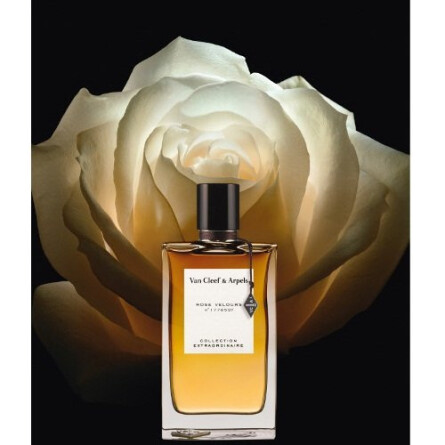 Collection Extraordinaire Rose Velours-ون کلیف اند آرپلس کالکشن اکسترا اوردینیر رز ولارس