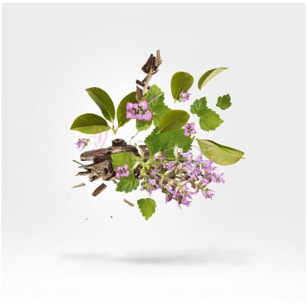 Holysm-زرجوف هالیزم