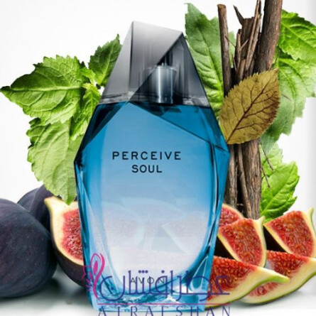 Perceive Soul Men-اوان پرسیو سول مردانه
