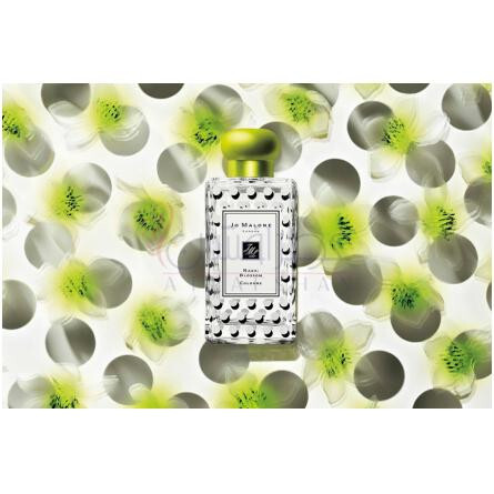 Nashi Blossom-جو مالون نشی بلوسوم