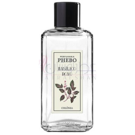 Basílico Roxo-فبو بازیلیکو روکسو