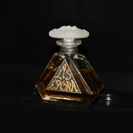 Lys Epona-جوووی پاریس لیس اپانا