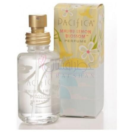 Malibu Lemon Blossom-پسیفیکا مالیبو لمون بلوسوم