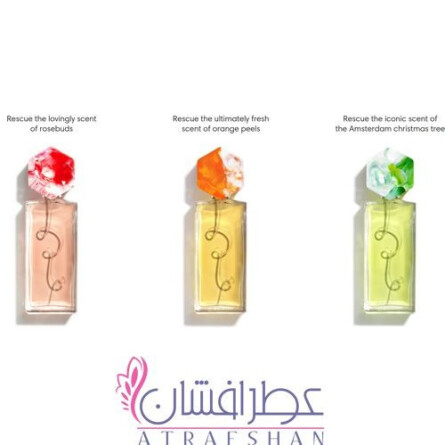 VERSCHIL-رویک ورسچیل