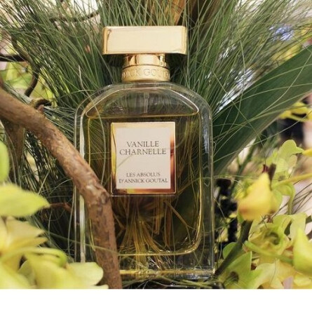 Vanille Charnelle-آنیک گوتال وانیل چارنل