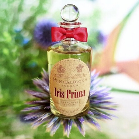 Iris Prima-پنهالیگونز ایریس پریما