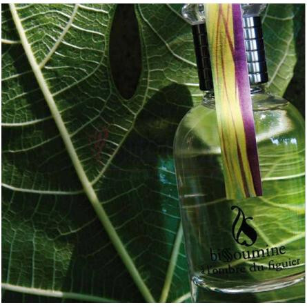 A L'Ombre du Figuier-بیسومین ا لومبر دو فیگور