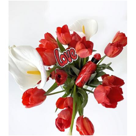 Ti Amo: Tulipano-هیلد سولیانی تی امو تولیپانو