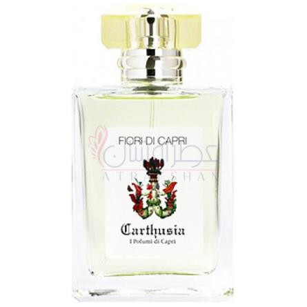 Fiori di Capri-کارتوزیا فیوری دی کاپری