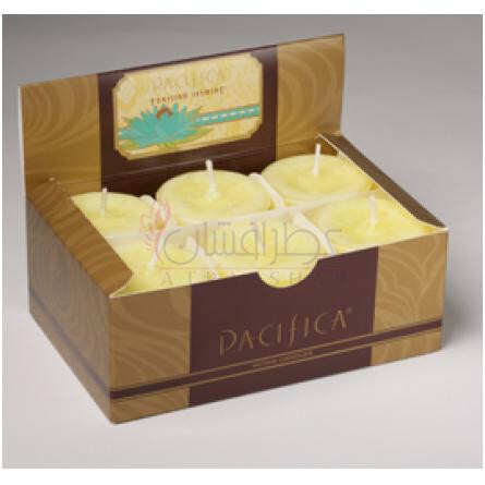 Tunisian Jasmine-پسیفیکا تونسین جاسمین