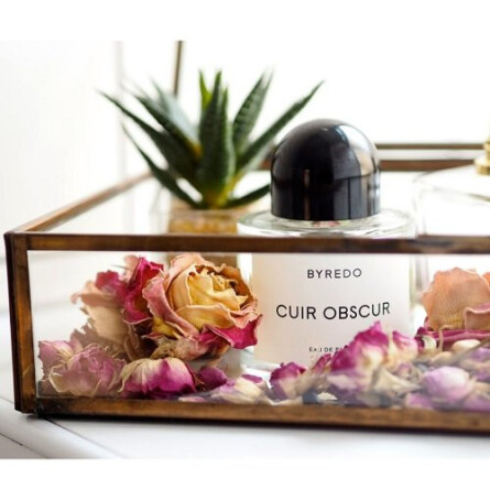 Cuir Obscur-بیره دو کویرابسکیور