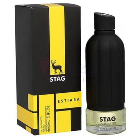 Stag-استیارا استیج