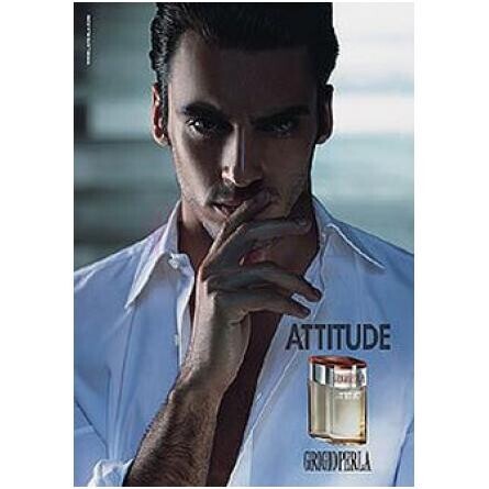 Grigioperla Attitude-لاپرلا گریجیو اتیتیود