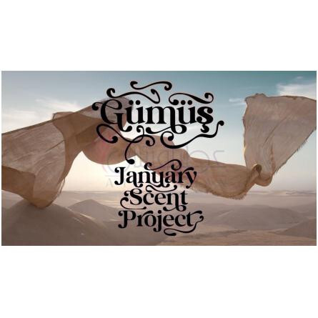 Gümüş-جَنیوئری سن پروجکت گامس