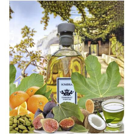 Sombra-دارک بیت پارفومز سومبرا