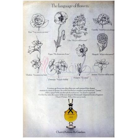 Chant d'Aromes Extrait de Parfum-گرلن چنت د ارومس اکستریت د پرفیوم