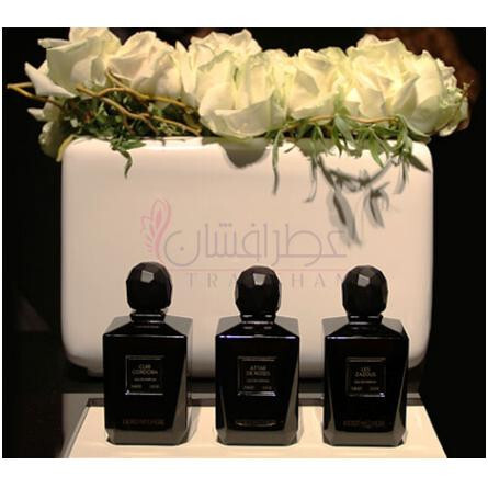 Camellia-کیکو مچری کاملیا