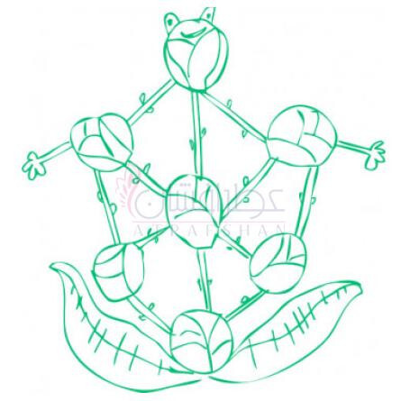 Brussels Sprouted-اسمل بنت بروسلز اسپروتد