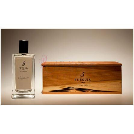 Komorebi-فوگیا 1833 کوموربی