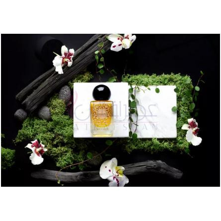 Pavillon des Orchidées-وای اس - یوزاک پاویلون دس ارکیدس