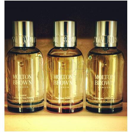 Muddled Plum-مولتون براون مادلد پلام