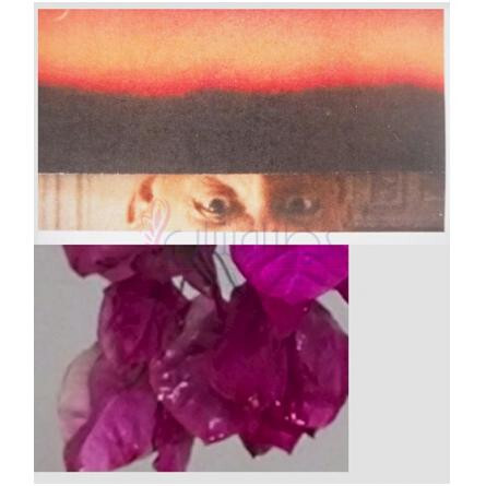 Pablo-کیوریونویر پابلو