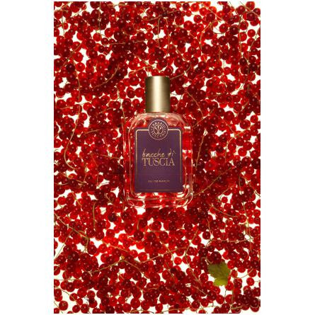 Bacche di Tuscia-ارباریو توسکانو باکه دی توشیا