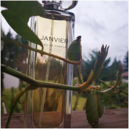 Janvier-بی سولیفلور ژانویه