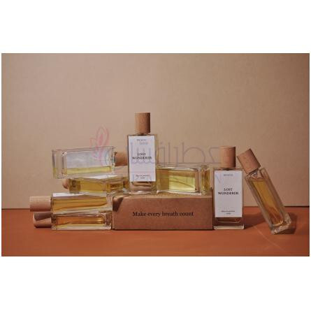 Lost Wonderer-پی ای او اس وای ام لاست واندیریر