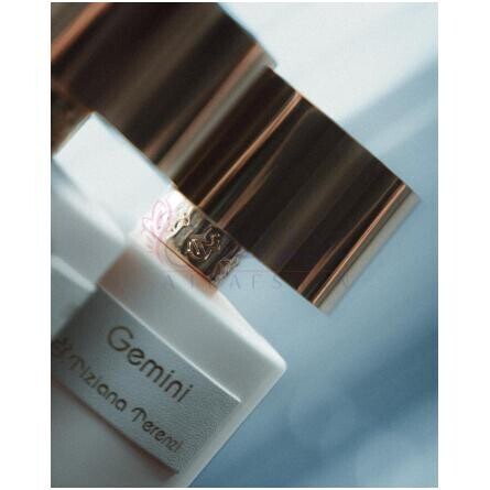 Gemini-تیزیانا ترنزی جمینی