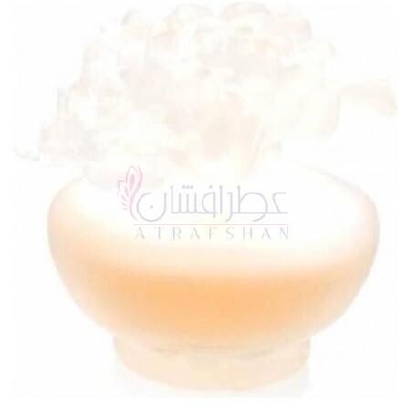 Orange Tropical-پوپا اورنج تراپیکال