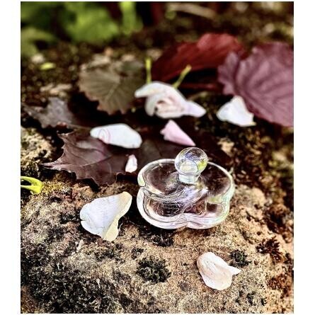 Camelia Superieur-شیسیدو کاملیا سوپریور