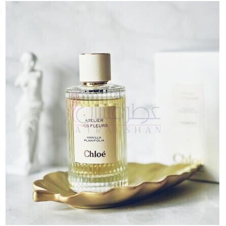 Vanilla Planifolia-کلوهه وانیلا پلنیفولیا