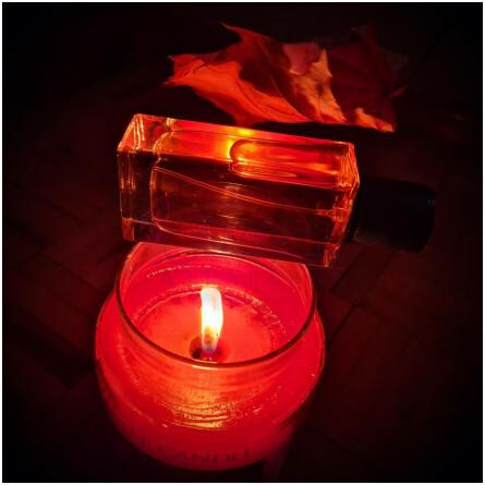 Delusion-جی ام پی ارتیسان پرفیومز دلوژن