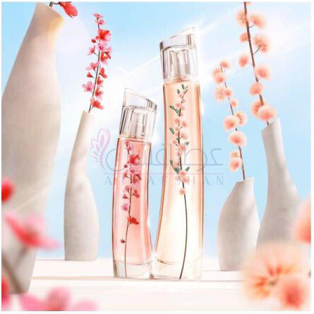 Flower Ikebana Mimosa-کنزو فلاور ایکیبانا میموسا