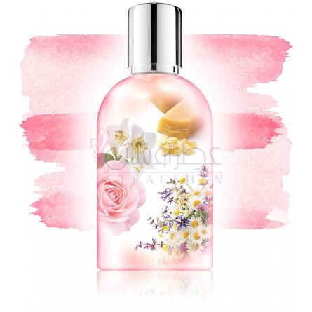 Jasmin Dentelle-کامپتوا سود پاسیفیک جاسمین دنتل