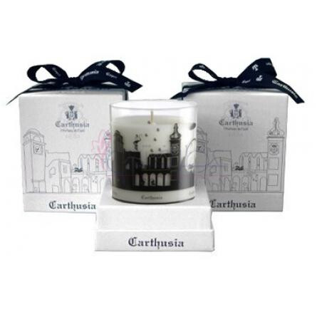 Capri Forget Me Not-کارتوزیا کاپری فورگت می نات