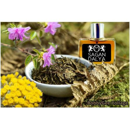 Sagan Dalya-ماهر الفکتیو ساگان دالیا