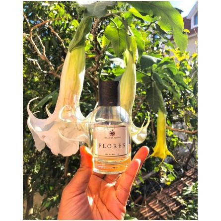 Flores-اکوا دوس اکورس اتلانتیک اوشن فلورس