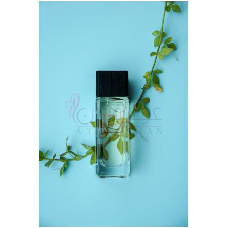 Misty Fjord-بی ای یو میستی فجورد