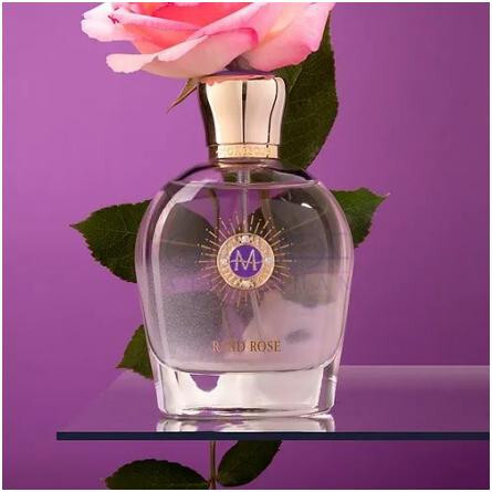 Rand Rose-مورسک رند رز