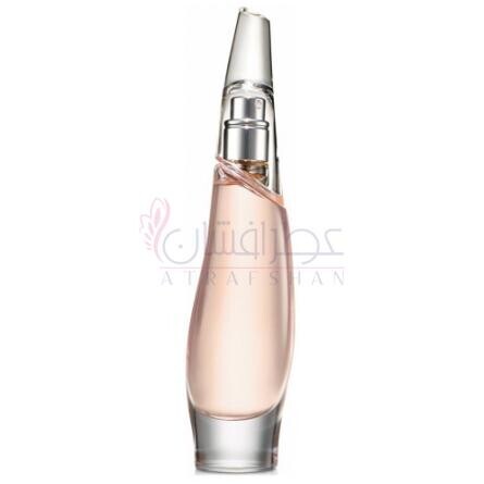 Liquid Cashmere Blush-دی کی ان وای لیکویید کشمیر بلاش