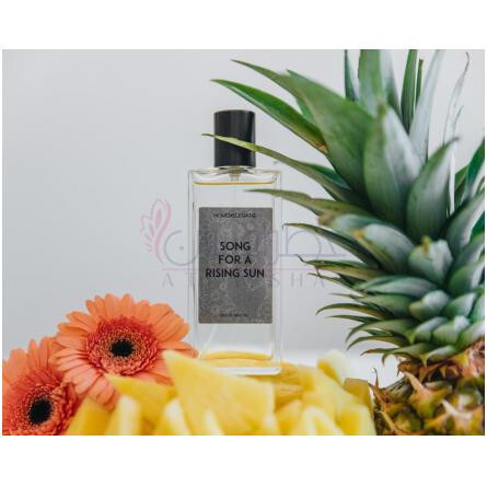 Song For a Rising Sun-همولگانز سانگ فور ا رایزینگ سان