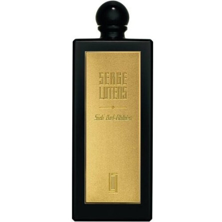 Sidi Bel Abbes-سرج لوتنس سیدی بل آبس