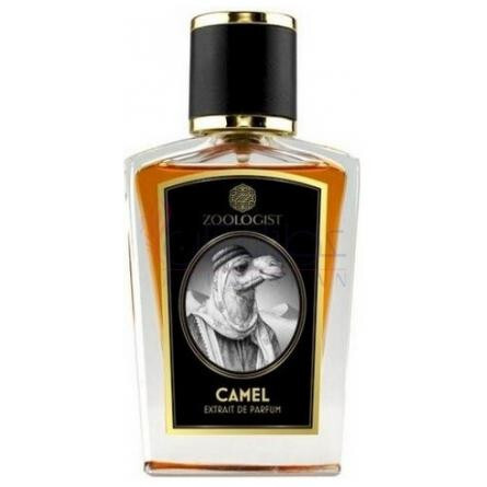 Camel-زولوجیست کمل