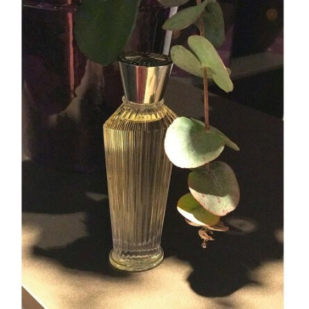 Trayee-نیلا ورمیر کرییشنز ترایی