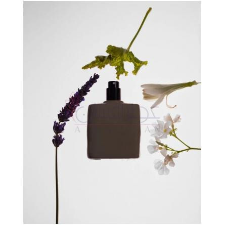 Nude Suede-کی کی دبلیو فرگرنس نود سوئد