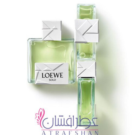 Loewe solo loewe clearance origami