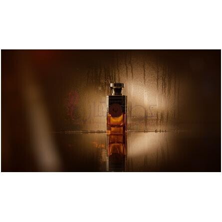 Moroccan Medjool-الکتیموس موراکن مدجول